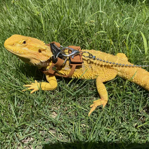 Correa para Lagartos Lizard Products para Uso en Exteriores, Estilo Pechera para Evitar Escapes, Suministros para <span class=keywords><strong>Iguanas</strong></span> <span class=keywords><strong>Verdes</strong></span> y Geckos - Product Image 2