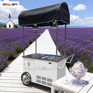 Triciclo Eléctrico de Servicio de Alimentos con Congelador de Helados Rápido Móvil de Fibra de Vidrio 2025 - Product Image 6
