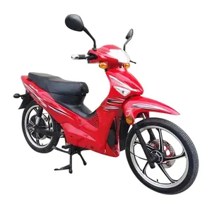 Moto elettrica a lungo raggio forte potenza 1500W 2000W moto fuoristrada in vendita