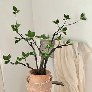 Ramas Verdes Artificiales, Flores en Jarrón, 30cm-100cm de Altura, Simulación Realista, Decoración de Interiores - Product Image 2