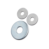 Plain Washers with Large DIN9021 Zinc Plated Round Large Flat Washers