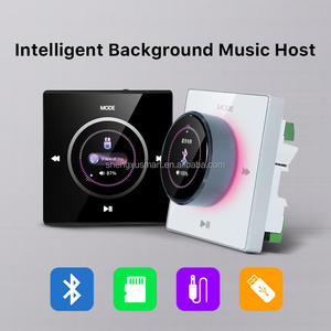 Controlador de <span class=keywords><strong>audio</strong></span> de fondo de panel de vidrio Premium para residencias/clubes de lujo, entrada BT/AUX/TF/USB - Product Image 3