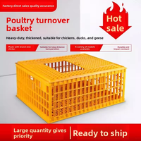 Cage de transport pour poulets en plastique PP de haute qualité, durable, prix de gros usine