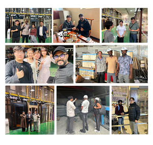 Porcellana manifattura di lusso decorazione cabina ascensore High-End arredamento d'interni per ascensori residenziali - Product Image 6