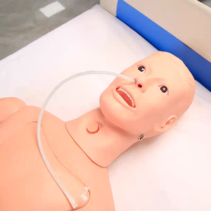 Modelo Anatômico Avançado BIX-H2400 para Treinamento em Enfermagem Medição de Pressão Arterial Função Completa PVC para Uso Escolar Ciência Médica - Product Image 4