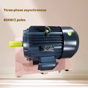 Motor Asíncrono Trifásico de 15 kW, Motor Mecánico de CA YE3-160L-4-15KW - Product Image 2