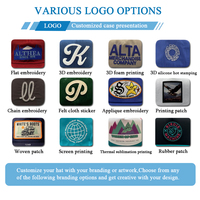 Gorra de Camuflaje para Caza y Pesca, Estilo Hip Hop, Casual, Deportiva, de 6 Paneles, con Parche de Cuero Personalizado con Logotipo, Bordado 3D en Color Marrón