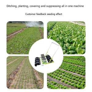 Máquina Sembradora <span class=keywords><strong>de</strong></span> Vegetales (Zanahorias, Cebollas) <span class=keywords><strong>de</strong></span> Alta Productividad con Motor y Engranajes para Plantas <span class=keywords><strong>de</strong></span> Producción (Rábanos, <span class=keywords><strong>Cilantro</strong></span>, Lechuga) - Product Image 6