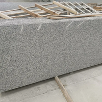 Vente en gros de carreaux de seuil en granit gris poli Marches et contremarches pour escaliers et escaliers Panneau mural extérieur en pierre naturelle