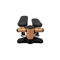 Mini stepper de fitness cardio portable de haute qualité à résistance réglable pour la maison