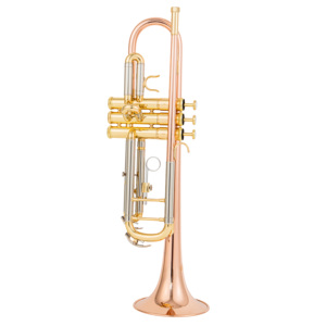 <span class=keywords><strong>Trompette</strong></span> à prix réduit en laiton jaune avec embouchure en cuivre et tube coulissant en nickel argenté, modèle étudiant - Product Image 3