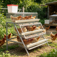 Cage à poules pondeuses galvanisée de type D à 48 cellules, équipement avicole peu encombrant, cages à œufs durables pour usage agricole