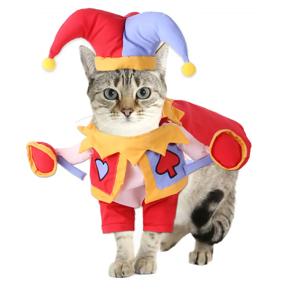 Manufacturers pet transforming suit magician standing suit cartoon dog go out cat funny transforming clothes