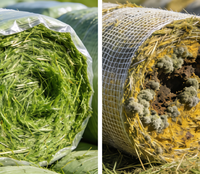 Film protecteur d'extrusion biodégradable, pour l'emballage du foin et de l'ensilage, film étirable en polyéthylène opaque de haute qualité LDPE