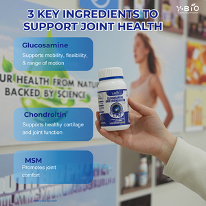 Complément Premium <span class=keywords><strong>Glucosamine</strong></span> Chondroïtine MSM |   Comprimés <span class=keywords><strong>de</strong></span> haute qualité pour la santé des os et des articulations - Product Image 3