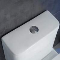 Salle de bain personnalisée siphon en S cuvette de toilette à chasse d'eau toilette monobloc en céramique