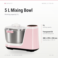 Robot pâtissier électrique 5L en acier inoxydable pour usage domestique avec crochet pétrisseur et design à levage de bol, mini-mixeur alimentaire avec kit d'accessoires