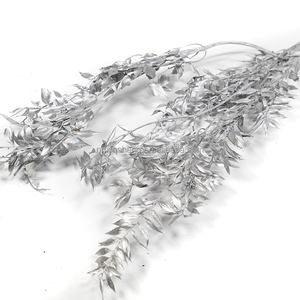 Ruscus Italiano Preservato, Fiore d'Argento Eterno, <span class=keywords><strong>Fiori</strong></span> di Ruscus Essiccati e Conservati - Product Image 6
