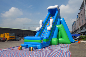 Trượt nước bơm hơi khổng lồ cho hồ | Trượt công viên nước nổi với nhiều làn đường cho khu nghỉ mát & mùa hè vui vẻ - Product Image 2