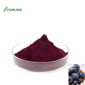 高品質プレミアムアサイベリーフリーズドライパウダー10:1オーガニックアサイベリーエキスジュースパウダー - Product Image 2