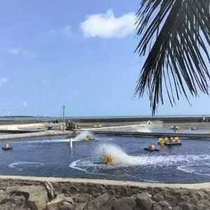 Подкладка для рыбной фермы, пластиковая hdpe геомембрана, аквакультуры, водная плотина - Product Image 4