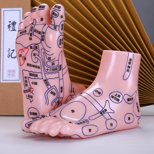 Modello Didattico di Agopuntura TCM Runshi in PVC, 21cm, Massaggio Doppio Piede per il Corpo, Prodotto di Medicina Cinese - Product Image 4