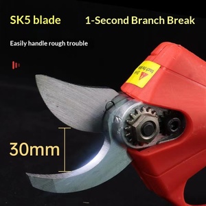 Hot Sale Pruning Shears Fruit Tree Branch Shears Scissors Outdoor Fast Wireless Garden Shears Factory Wholesale Alloy Steel ABS - Product Image 4