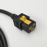 Cordon d'alimentation sécurisé NEMA 6-20P pour verrouiller C19 PDU/ UPS