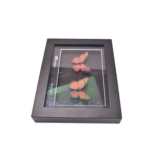 Hete Verkoop Vlinder Display Vierkant Beeldende Kunst Abstracte Kunst Frame 50 Diepe Kleine Schaduwdoos Fotolijst - Product Image 6