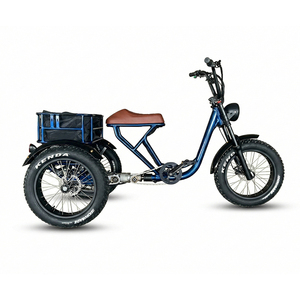 Tricycle électrique K4 à 3 roues, vélo électrique utilitaire pour le <span class=keywords><strong>transport</strong></span> familial, le <span class=keywords><strong>transport</strong></span> de marchandises et l'utilisation domestique - Product Image 4