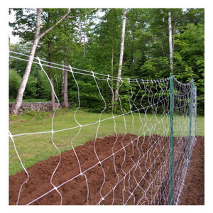 Wholesale Agricultural Bean Plant Plastic <strong>Trellis</strong> Planting Plant <strong>Trellis</strong> Climbing - Product Image 4
