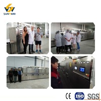 Stérilisateur à micro-ondes à haute capacité de production, équipement de stérilisation des aliments par micro-ondes en tunnel