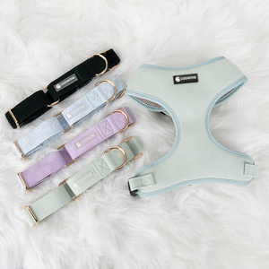 Coowone pita kerah anjing Martingale tugas berat padat kerah latihan dapat disesuaikan sesuai kepribadian untuk anjing kecil sedang besar - Product Image 2