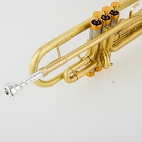 Wholesale Custom Gold Lacquer Surface Heavy Duty Professional Bb Key Trumpet Matte Brushed Finish Factory Brass Wind Instruments