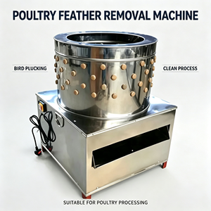 Meilleur prix : Machine à plumer les volailles (canards, oies, poulets) avec moteur stable et économe en énergie - Product Image 5