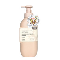 Shampooing et après-shampooing à l'huile de camélia, contrôle du sébum, anti-chute, Biota Orientalis, soins capillaires, OEM, marque privée, logo personnalisé, qualité salon, en vrac
