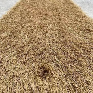 In Stock Beach Umbrella Thatched House Proof Hut Grass <strong>Banana</strong> Leaf Roofing Fiber Thatch - Product Image 3