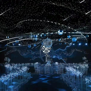Đám cưới đạo cụ LED Fishnet chiếu sáng chuỗi đám cưới hội trường lục <span class=keywords><strong>gi</strong></span>ác dây lưới đầy đủ bầu trời sao ánh sáng trần trang trí đèn - Product Image 2