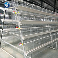 120 Cages à volailles de conception optimisée pour poules pondeuses, type A, galvanisées, pour l'Afrique du Sud