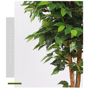 QiHao-Planta Artificial <span class=keywords><strong>Ficus</strong></span> Microcarpa Banyan, árbol bonsái, tamaño personalizado para decoración de interiores - Product Image 3