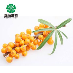 Omega 7 <span class=keywords><strong>Seabuckthorn</strong></span> Seed Oil Softgel Cápsula para adultos Clareamento da pele não para crianças e mulheres grávidas - Product Image 3