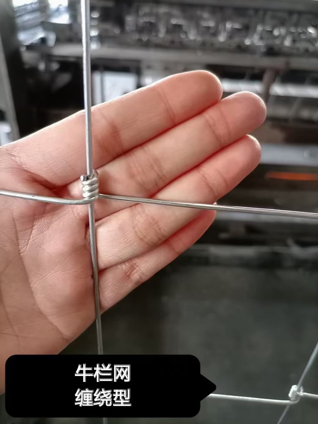 последние новости компании о Galvanized исправило загородка поля сетки фермы провода узла  0