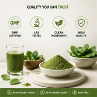 Poudre de superaliments verts quotidiens en gros OEM, saveur personnalisée, probiotiques ajoutés, poudre de boisson Super Greens pour marque privée