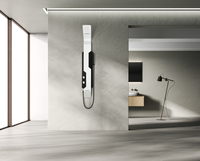 Panneau de douche cascade de luxe en acier inoxydable avec jets de massage SPA, mural pour hôtels, gymnases et usage commercial