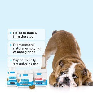 Complément Probiotique pour Glandes Anales de Chien ODM/OEM – Friandises Molles pour la Digestion – Beurre de Cacahuète, Fibres de Citrouille – Réduit le Déplacement et les Déjections - Product Image 5