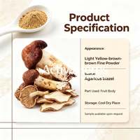 Poudre de corps de champignon Agaricus Blazei Murill 100% pure et naturelle, qualité alimentaire, extraite à l'eau pour l'immunité