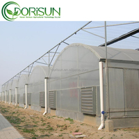 Smart Large Climate Control High Tunnel Greenhouse 30x100 Matériau PE de style chinois utilisé pour l'agriculture Jardin à vendre