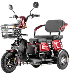 電動Citycoco Tricyle 3輪電動バイク1000Wリチウム電池Ebike大人用電動Citycoco