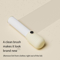 Nouveau design, rouleau anti-poils manuel portable en plastique coloré double face, réutilisable, mini-éliminateur de poils d'animaux