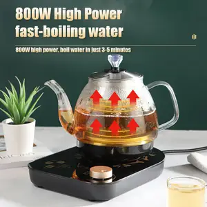 Kaipin 2023 The Latest Hot Selling China Mini Electric Kettle Hotel Transparent Automatic Kettle Set For Travel